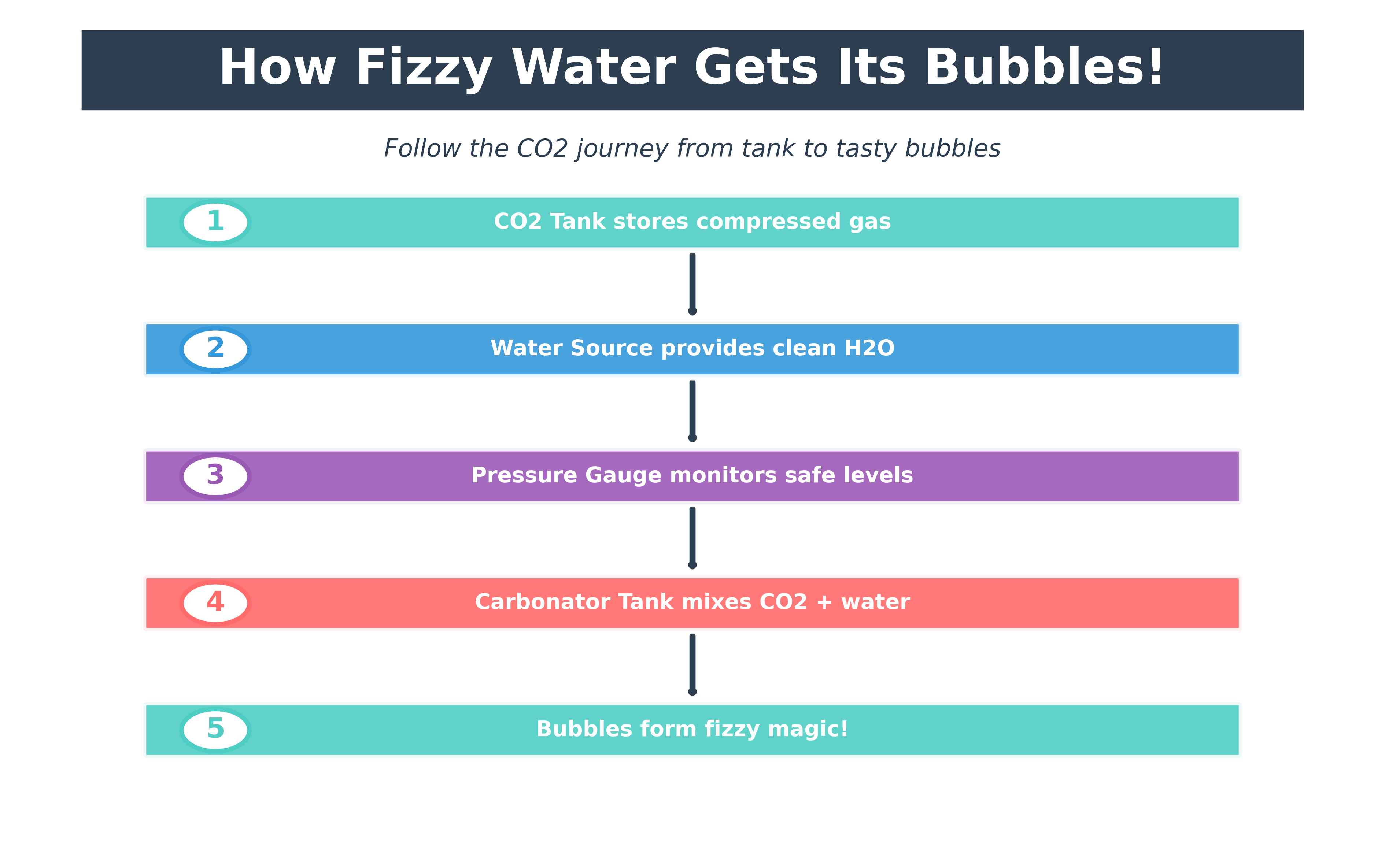Making Water Fizzy: The CO2 System