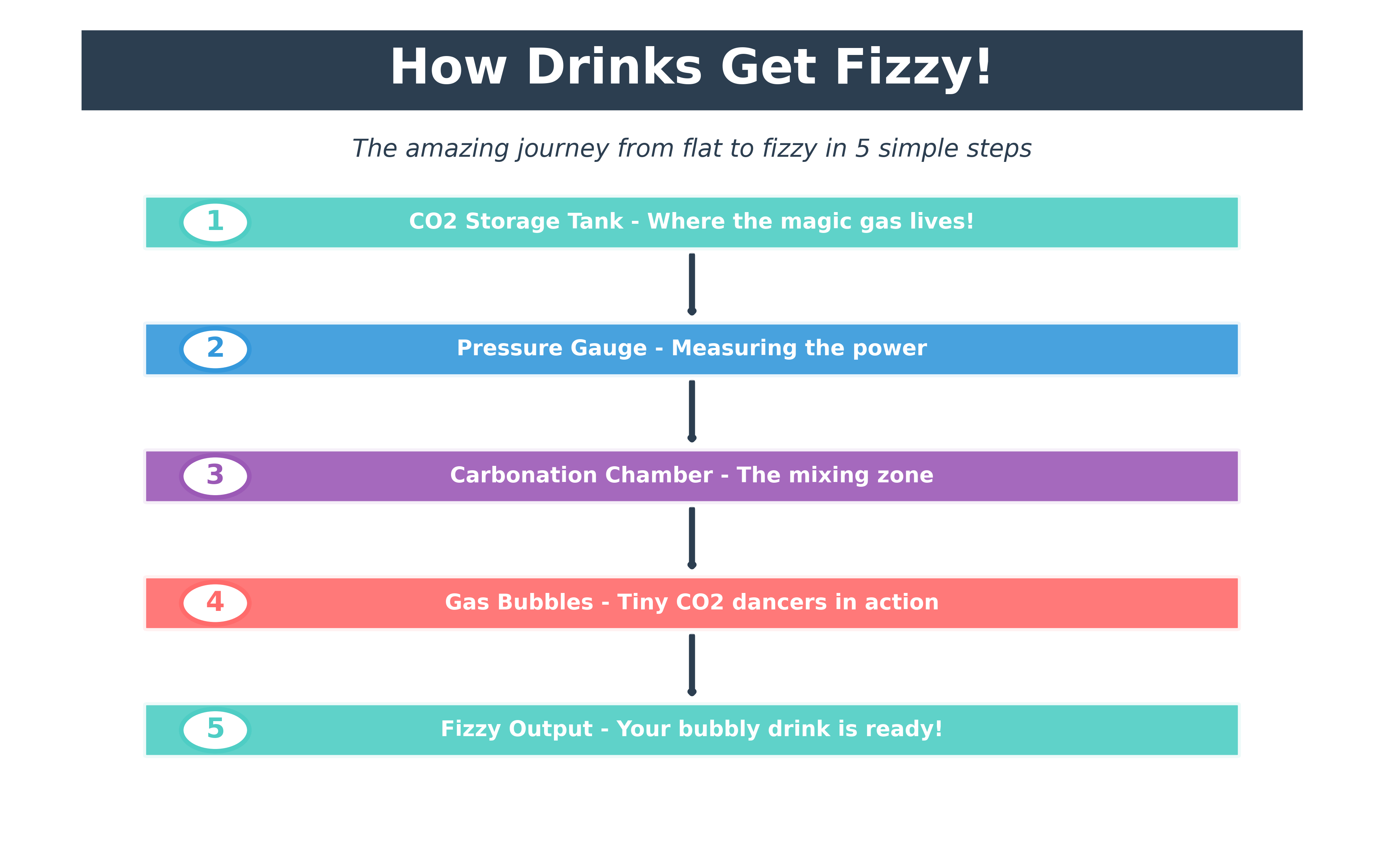 The Carbonation Process